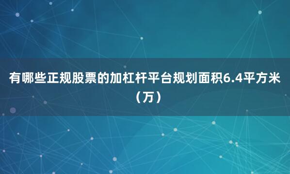 有哪些正规股票的加杠杆平台规划面积6.4平方米（万）