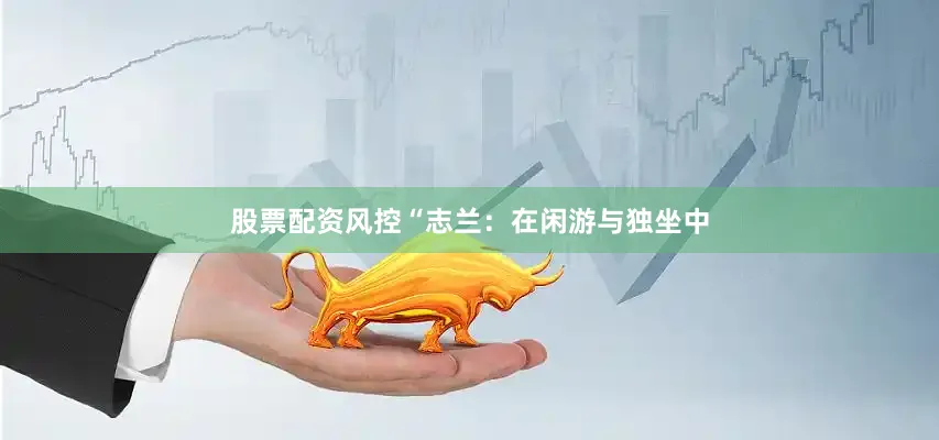 股票配资风控“志兰：在闲游与独坐中