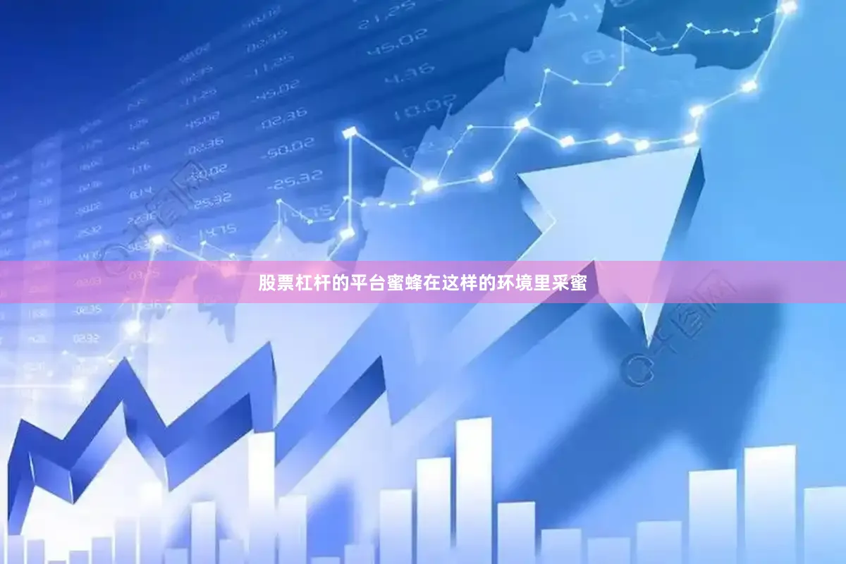 股票杠杆的平台蜜蜂在这样的环境里采蜜